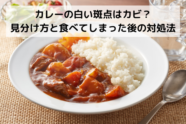 カレーの白い斑点はカビ？見分け方と食べてしまった後の対処法