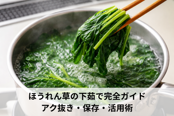 ほうれん草の下茹で完全ガイド｜アク抜き・保存・活用術