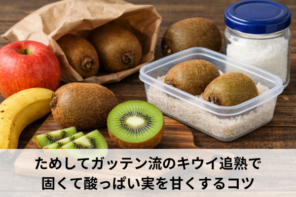 ためしてガッテン流のキウイ追熟で固くて酸っぱい実を甘くするコツ