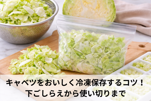 キャベツをおいしく冷凍保存するコツ！下ごしらえから使い切りまで