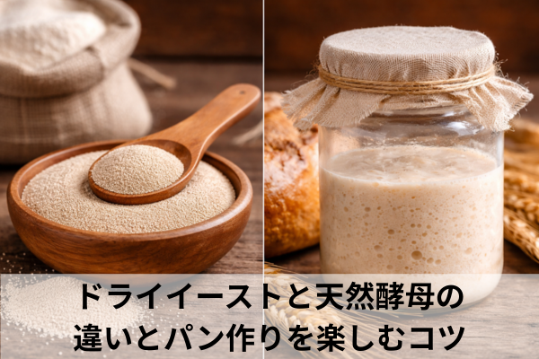 ドライイーストと天然酵母の違いとパン作りを楽しむコツ