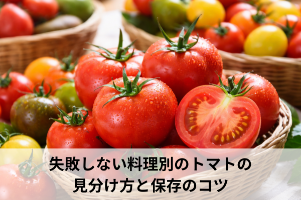 失敗しない料理別のトマトの見分け方と保存のコツ
