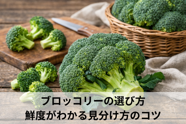 ブロッコリーの選び方｜鮮度がわかる見分け方のコツ