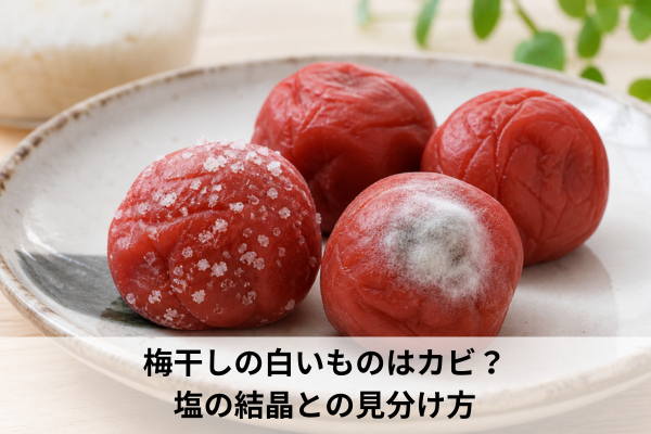 梅干しの白いものはカビ？塩の結晶との見分け方