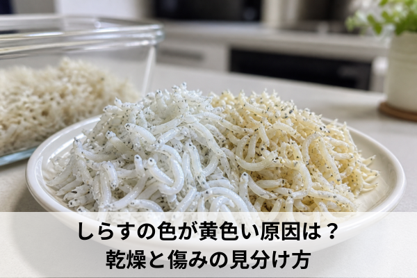 しらすの色が黄色い原因は？乾燥と傷みの見分け方