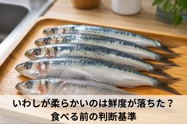 いわしが柔らかいのは鮮度が落ちた？食べる前の判断基準