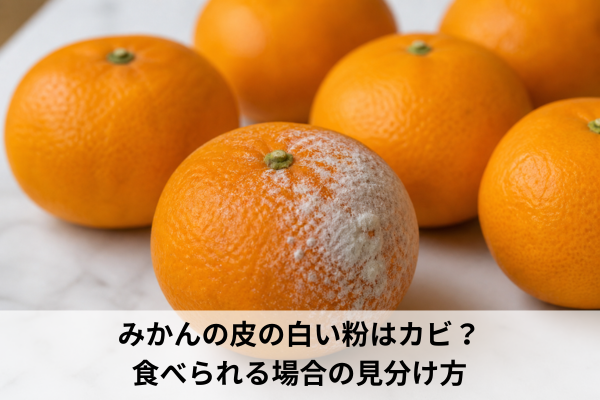 みかんの皮の白い粉はカビ？食べられる場合の見分け方