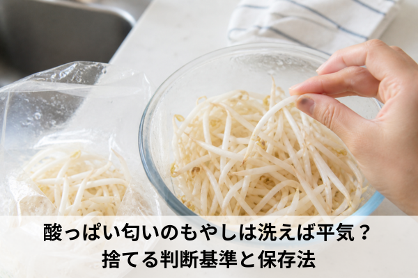 酸っぱい匂いのもやしは洗えば平気？捨てる判断基準と保存法