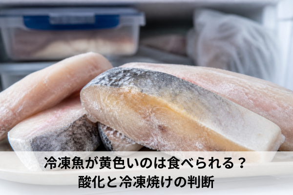 冷凍魚が黄色いのは食べられる？酸化と冷凍焼けの判断