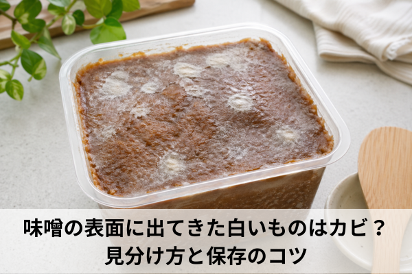 味噌の表面に出てきた白いものはカビ？見分け方と保存のコツ