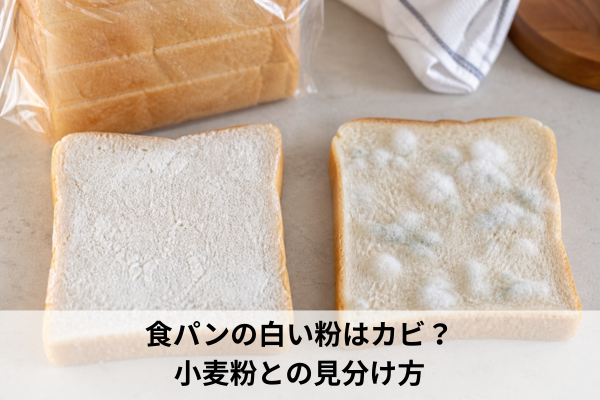 食パンの白い粉はカビ？小麦粉との見分け方
